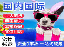 天津机场托运国际宠物托运 【国